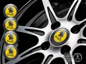 Decalcomanie Ruota Sport Logo Dome Tuning Racing